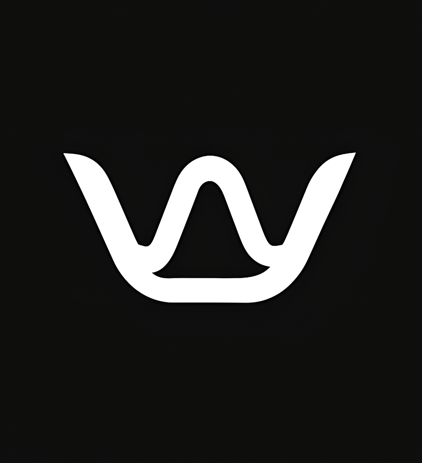 Wireship Logo